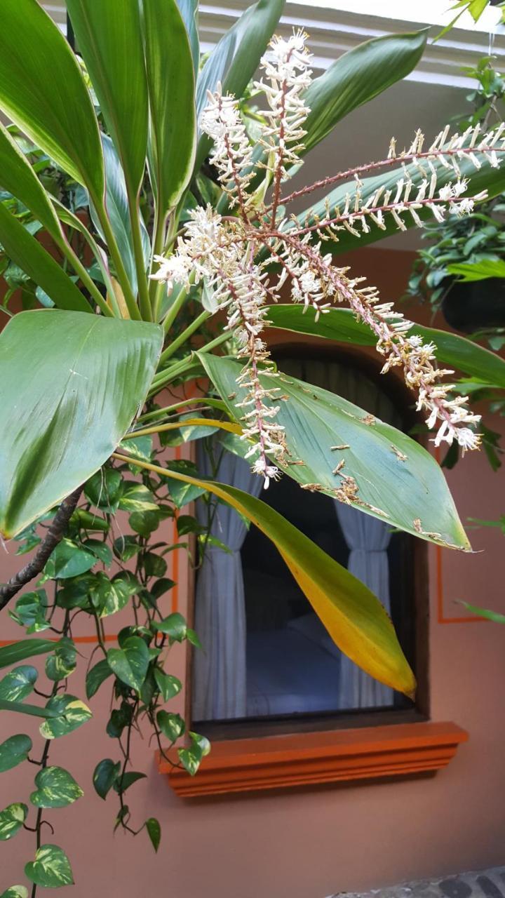 Hotel Posada San Jeronimo Coatepec  Ngoại thất bức ảnh